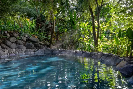 Scenic Transfer to Arenal Volcano – Check-in at Arenal Manoa Hotel