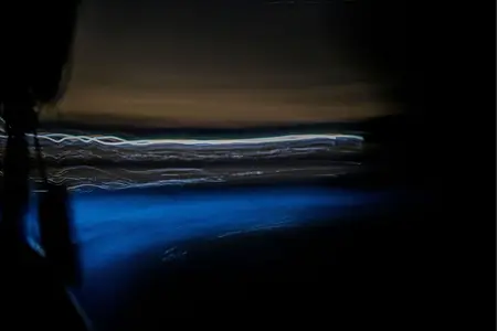 Nightscapes: Bioluminescence & Sea Life