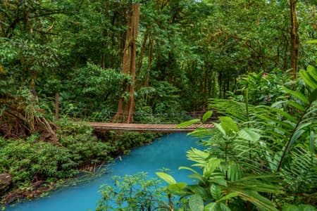 Hike in Tenorio Volcano National Park & Río Celeste Trails