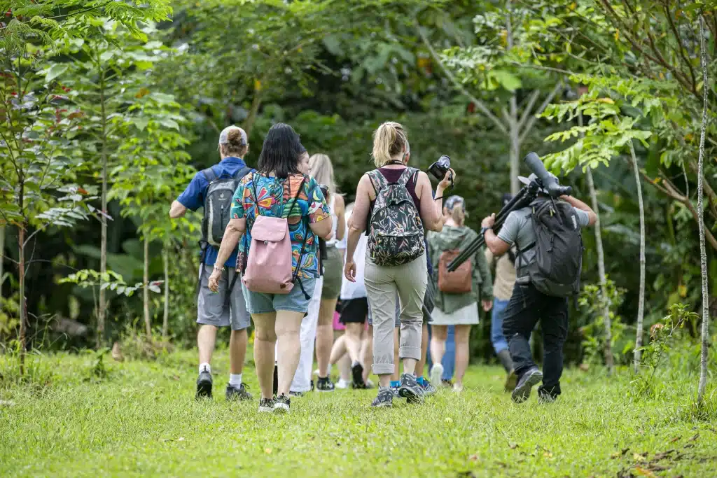 Discover the beauty of Costa Rica! February offers the perfect weather to explore its natural surroundings.