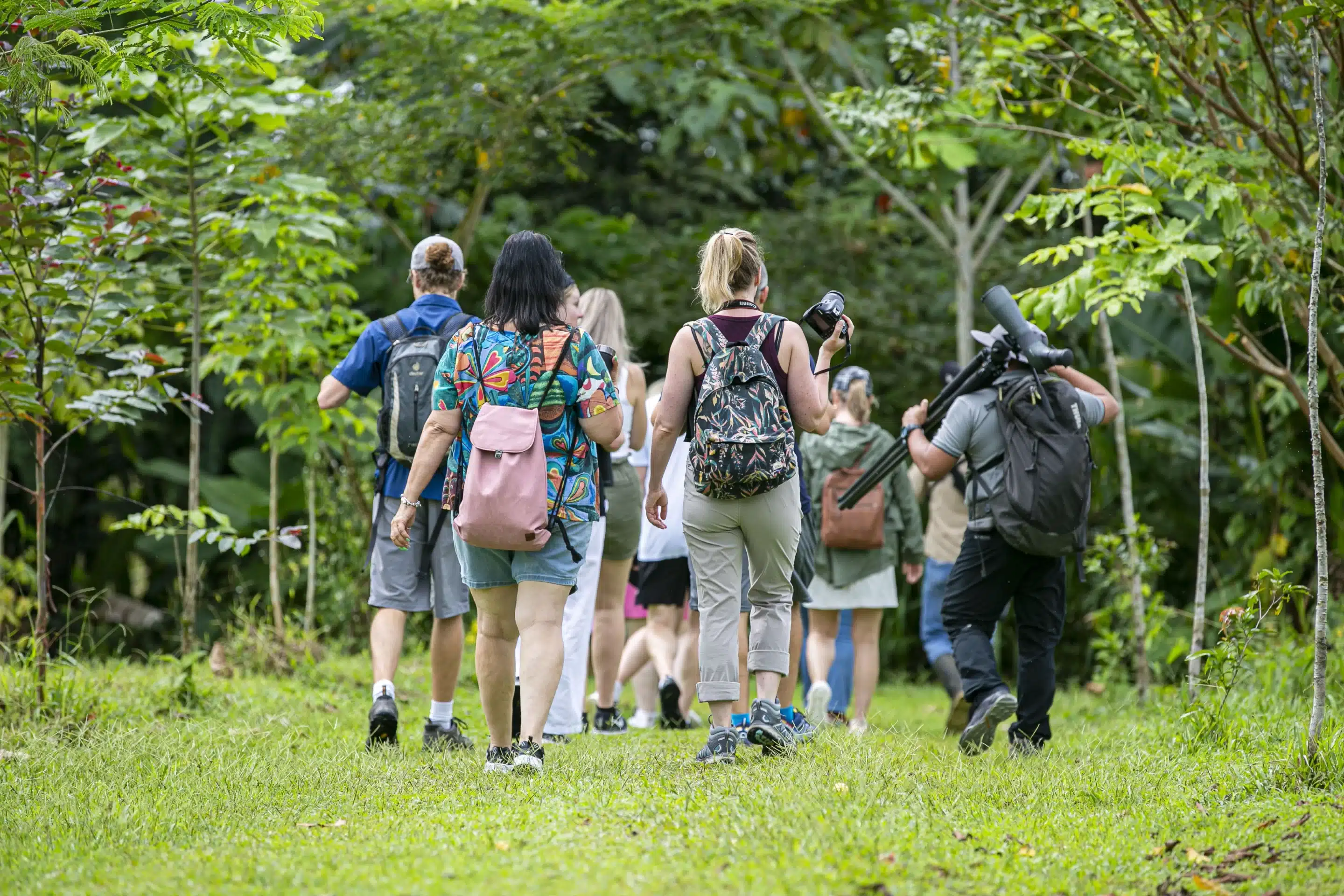 Discover the beauty of Costa Rica! February offers the perfect weather to explore its natural surroundings.