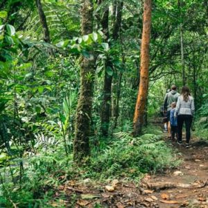 Costa Rica Wonders