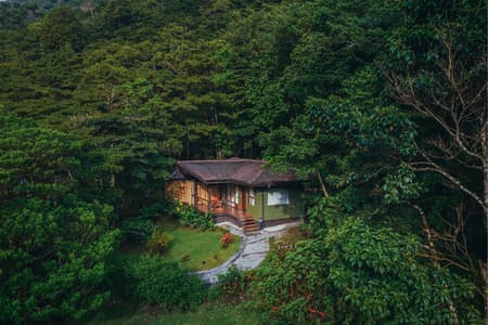 Arrive in San José Costa Rica – Check-In at Silencio Lodge