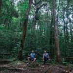 Couple sitting on wooden swings in a lush Costa Rican cloud forest during a guided hike