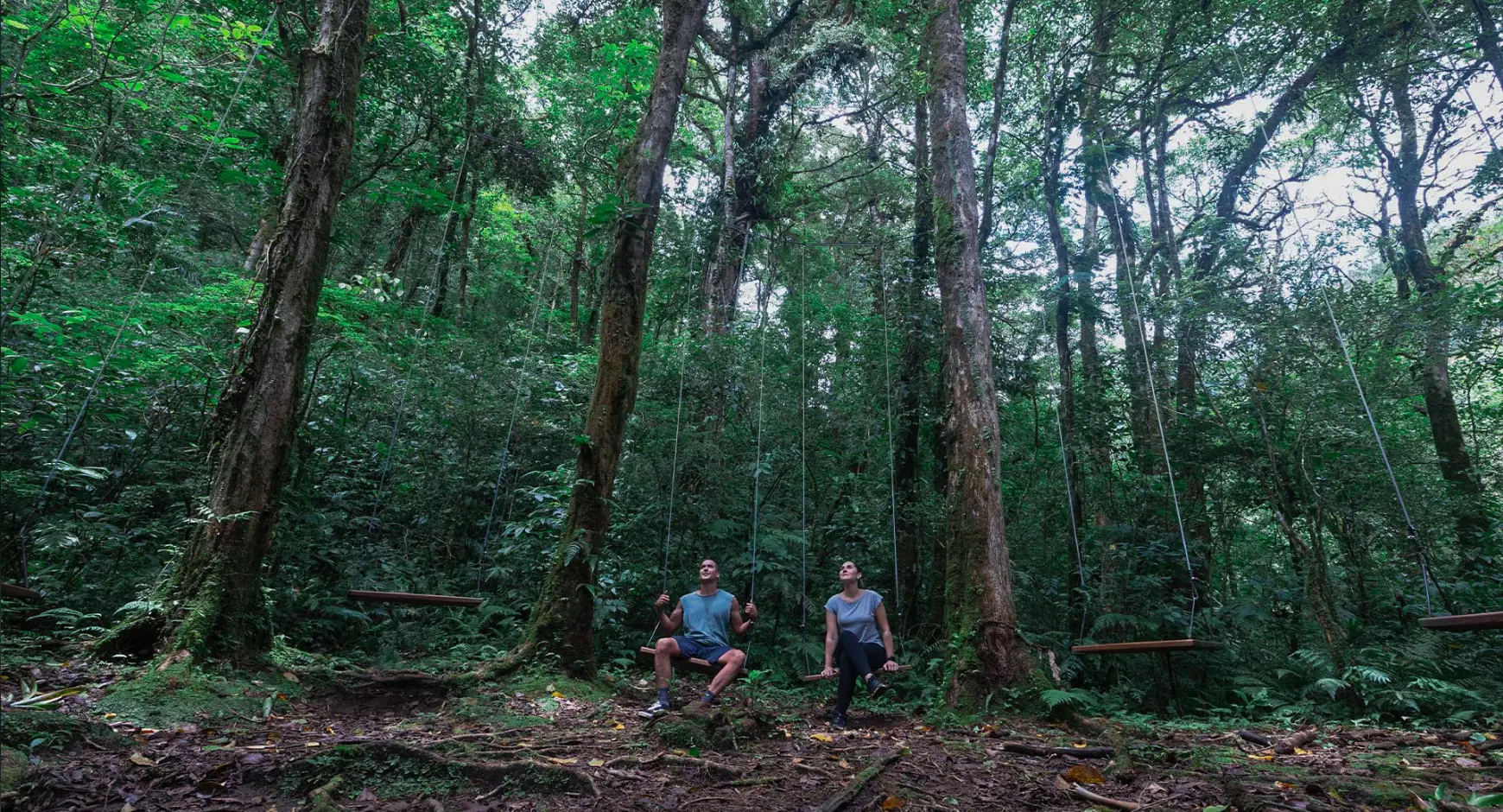 Couple sitting on wooden swings in a lush Costa Rican cloud forest during a guided hike