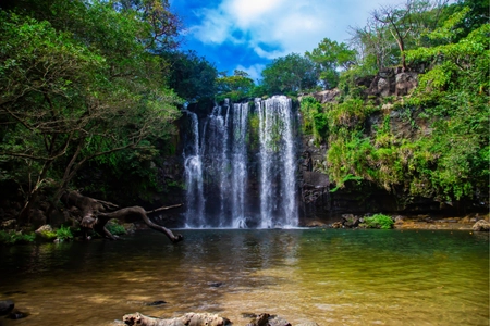 Transfer to Bosque del Mar, Playa Hermosa | Guanacaste