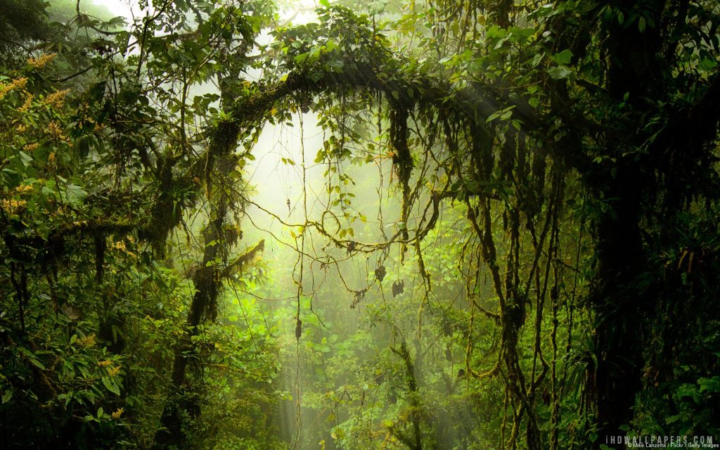Travel to Monteverde Cloud Forest – Stay at Poco a Poco Hotel