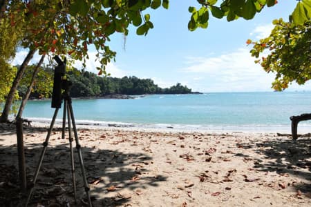 Manuel Antonio National Park Guided Tour