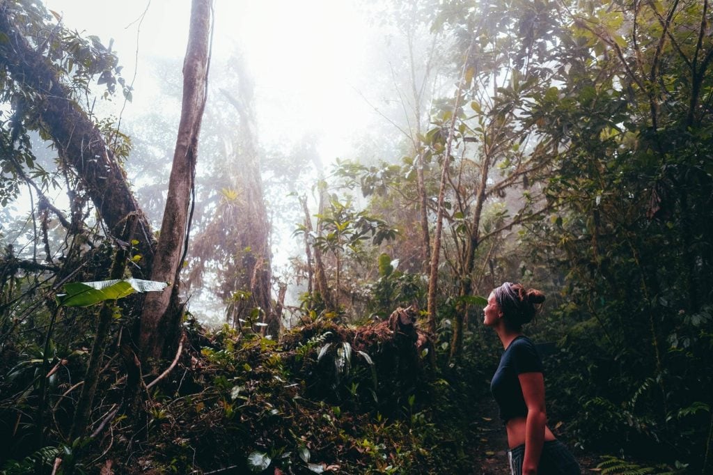Guided Monteverde Cloud Forest Walk