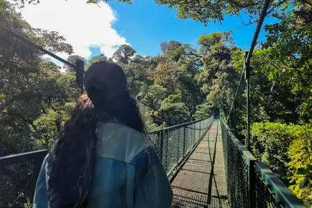 Selvatura Monteverde Guided Hanging Bridges 
