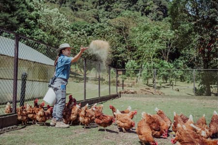 Organic Garden Visit