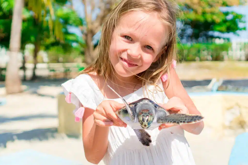 Witnessing the nesting process of sea turtles in Costa Rica is a remarkable experience that draws nature enthusiasts from around the world.