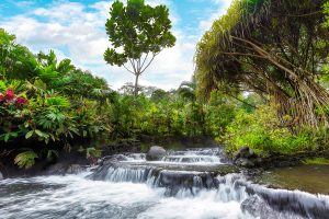 1-Hot-Springs-1-300x200 rafting-costa-rica