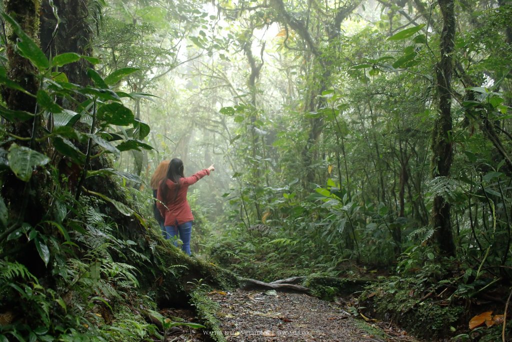 Monteverde
