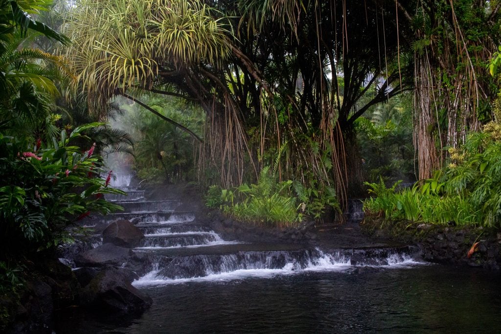 Leisure Day in La Fortuna – Explore Arenal’s Rainforest or Hot Springs