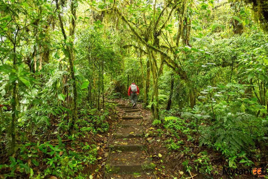 Monteverde