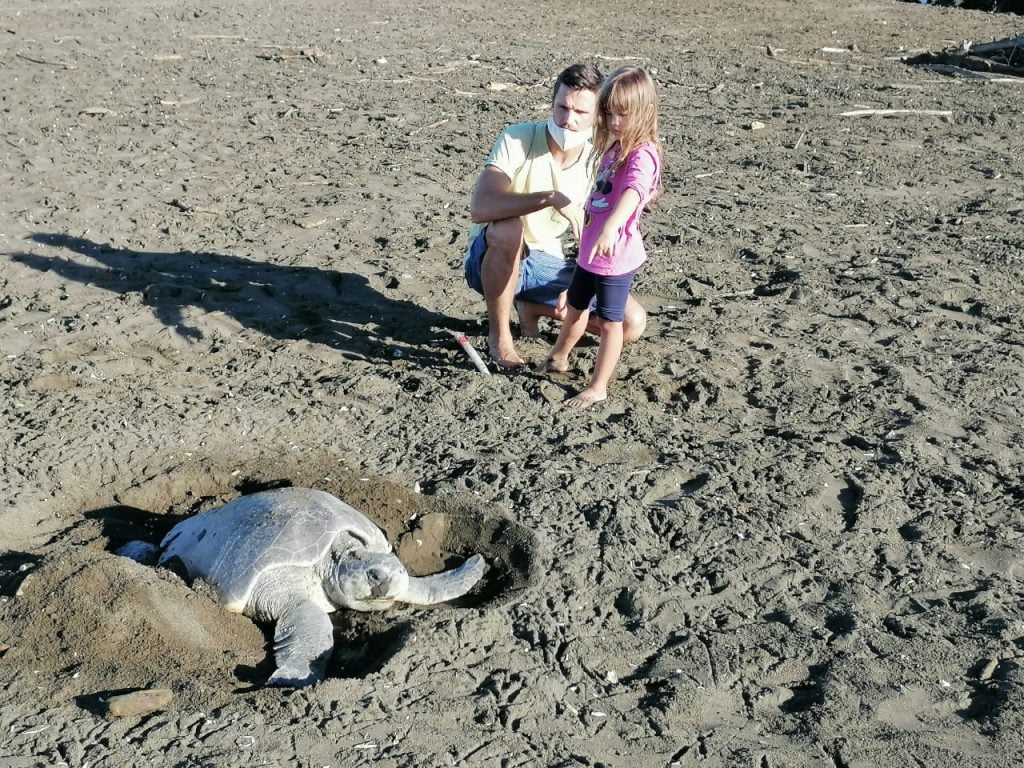 Playa Carrillo, Guanacaste
