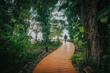 Transfer to Bosque del Mar, Playa Hermosa | Guanacaste