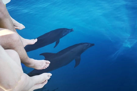 Isla Chora Snorkeling & Boat Tour