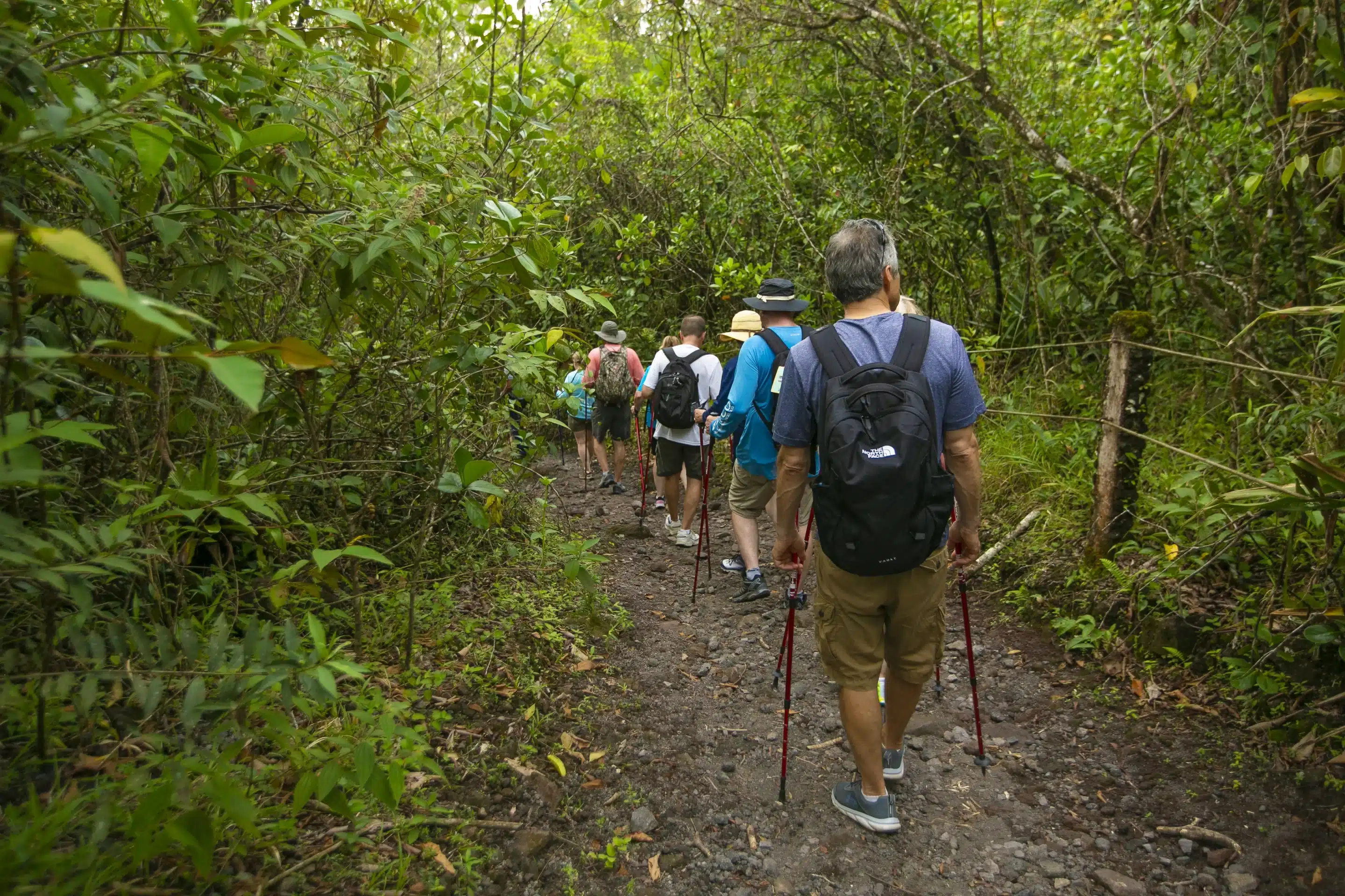 Whether you visit the Nicoya Peninsula, Papagayo Peninsula, or the Osa Peninsula, you'll surely find plenty of thrilling activities to do in June in Costa Rica!