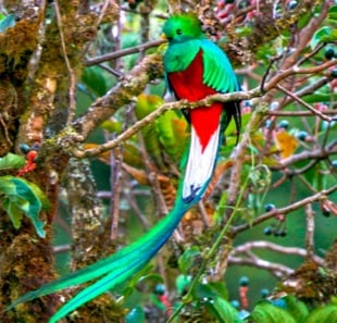 Monteverde Costa Rica