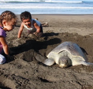 Tortuguero Costa Rica