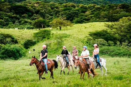Borinquen Adventure Combo Tour