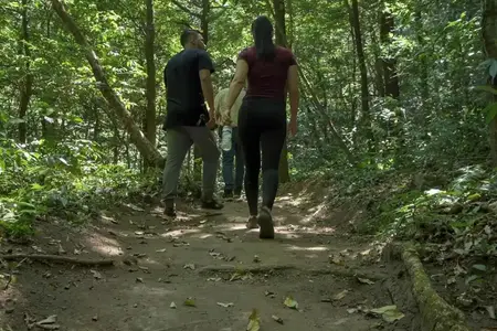 Borinquen Adventure Combo Tour