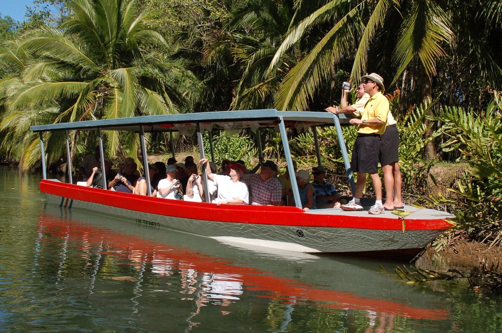 Mangrove Boat Tour