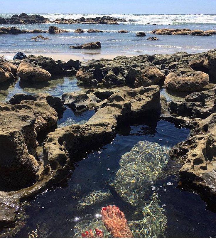Santa Teresa - Costa Rica Tide Pools Ostional & Nosara