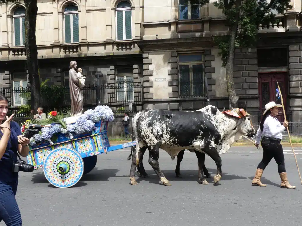 Observe a vibrantly painted Costa Rica ox cart showcasing traditional artistry and culture.