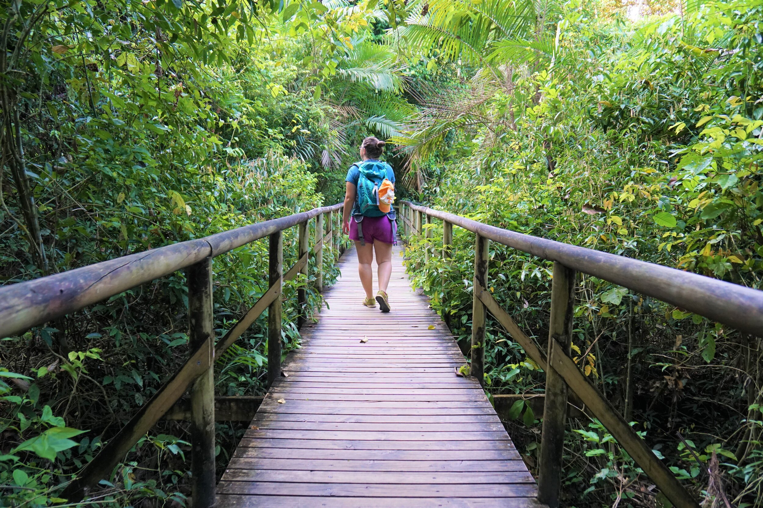 Hanging bridges Costa Rica