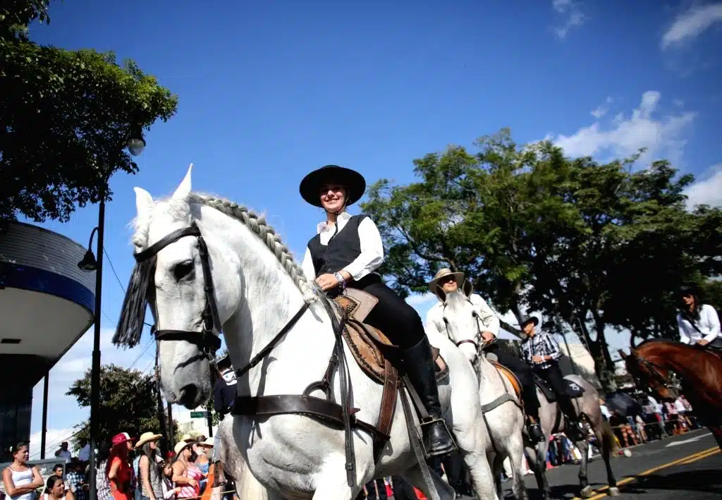 Discover the magic of this annual pilgrimage of horses in San Jose, Costa Rica!