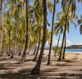 Carrillo Beach and Samara Costa Rica