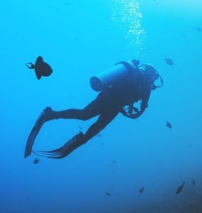 scuba diving costa rica