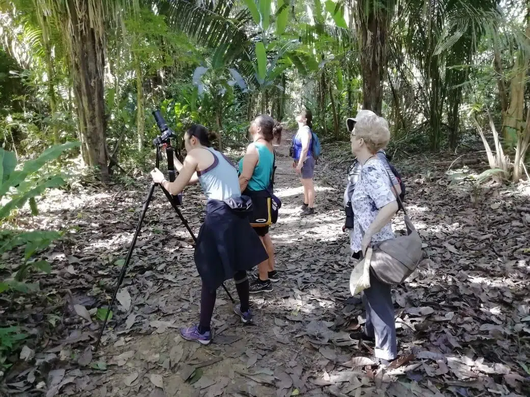 Visit one of the most beautiful parks near the Manuel Antonio area.