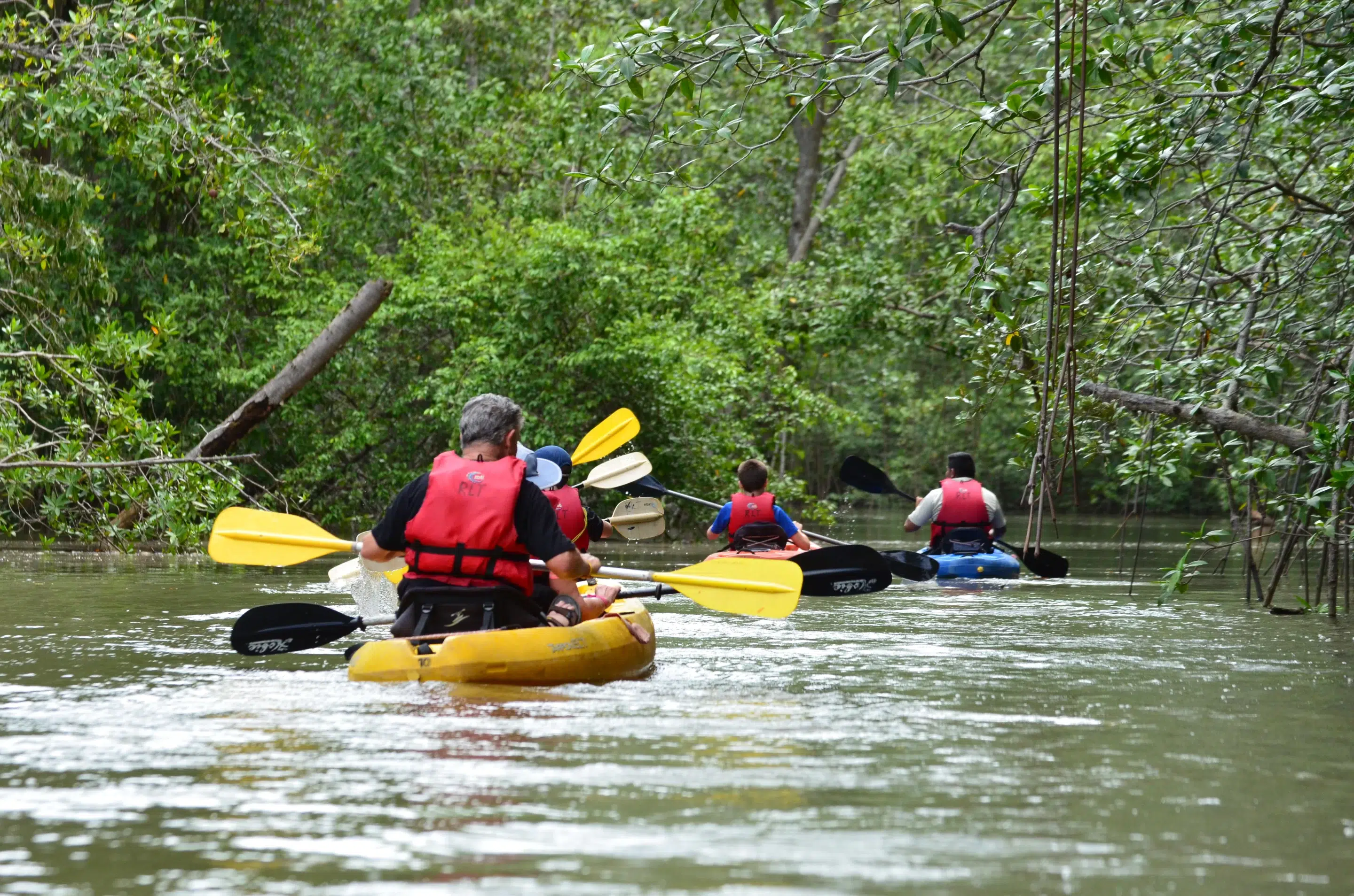 Visit Savegre River, a Charming Waterway!