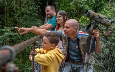 Top 8 Must-Do Activities in La Fortuna, Costa Rica