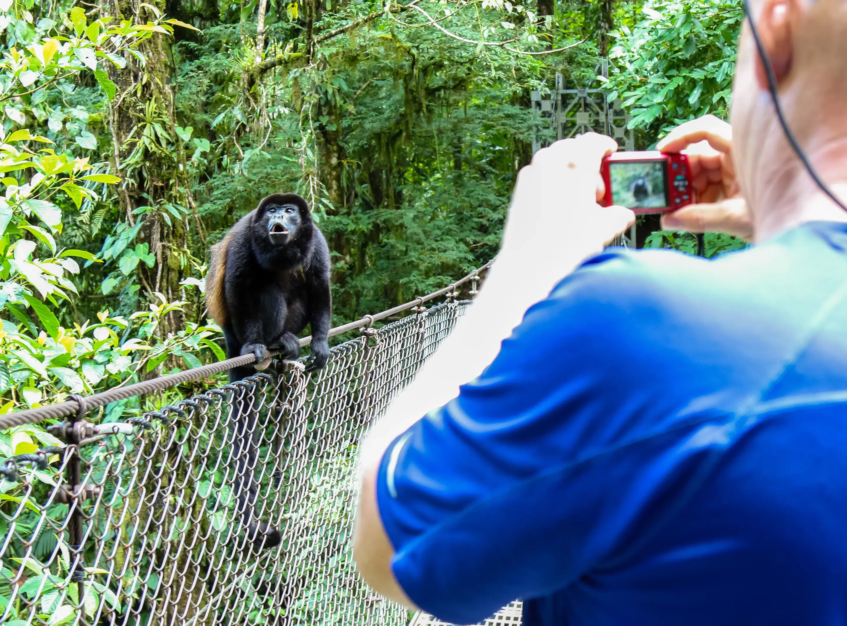 Get ready to explore La Fortuna, Costa Rica, hanging bridges!