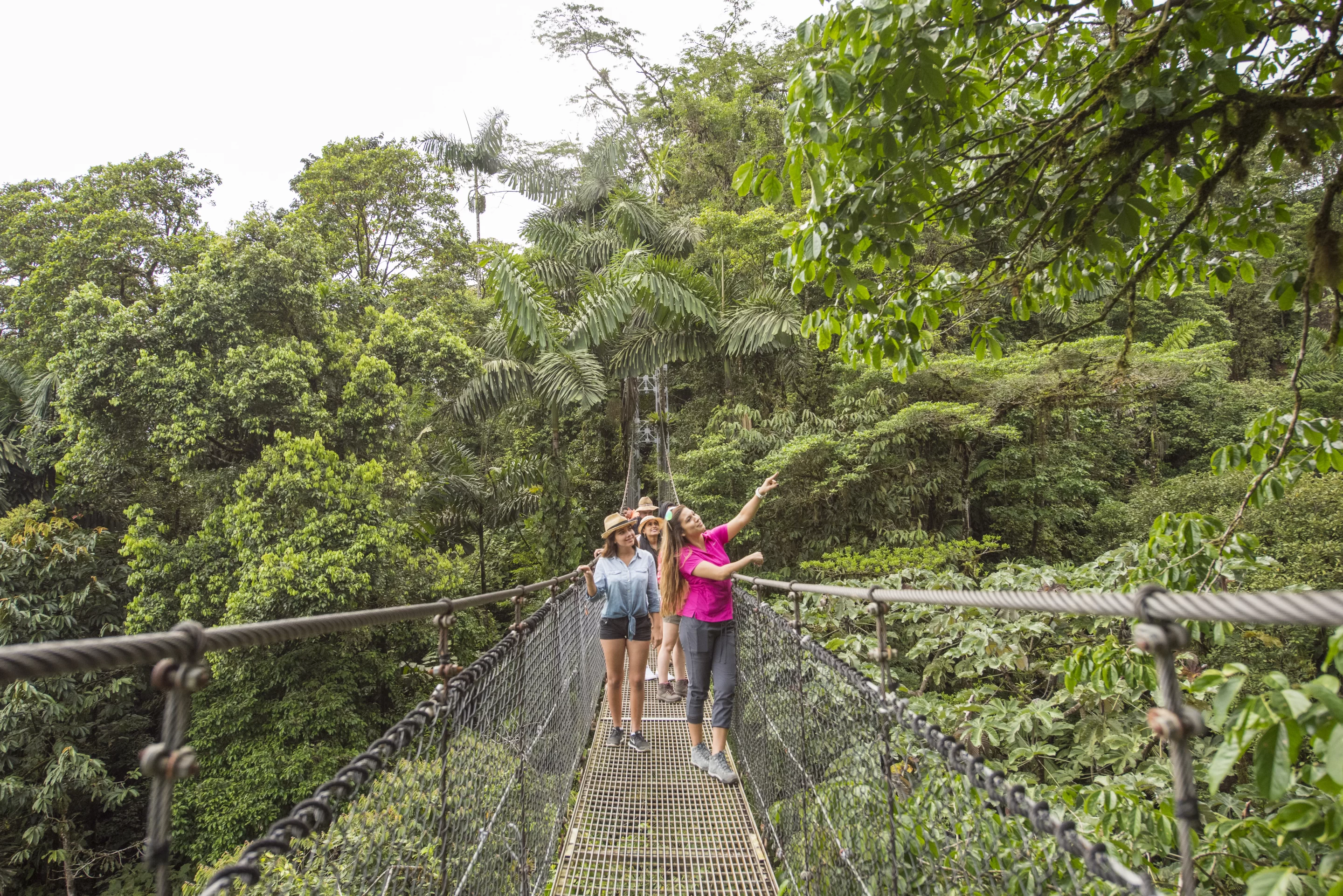 Ready for a thrilling adventure? Explore the enchanting hanging bridges, La Fortuna!