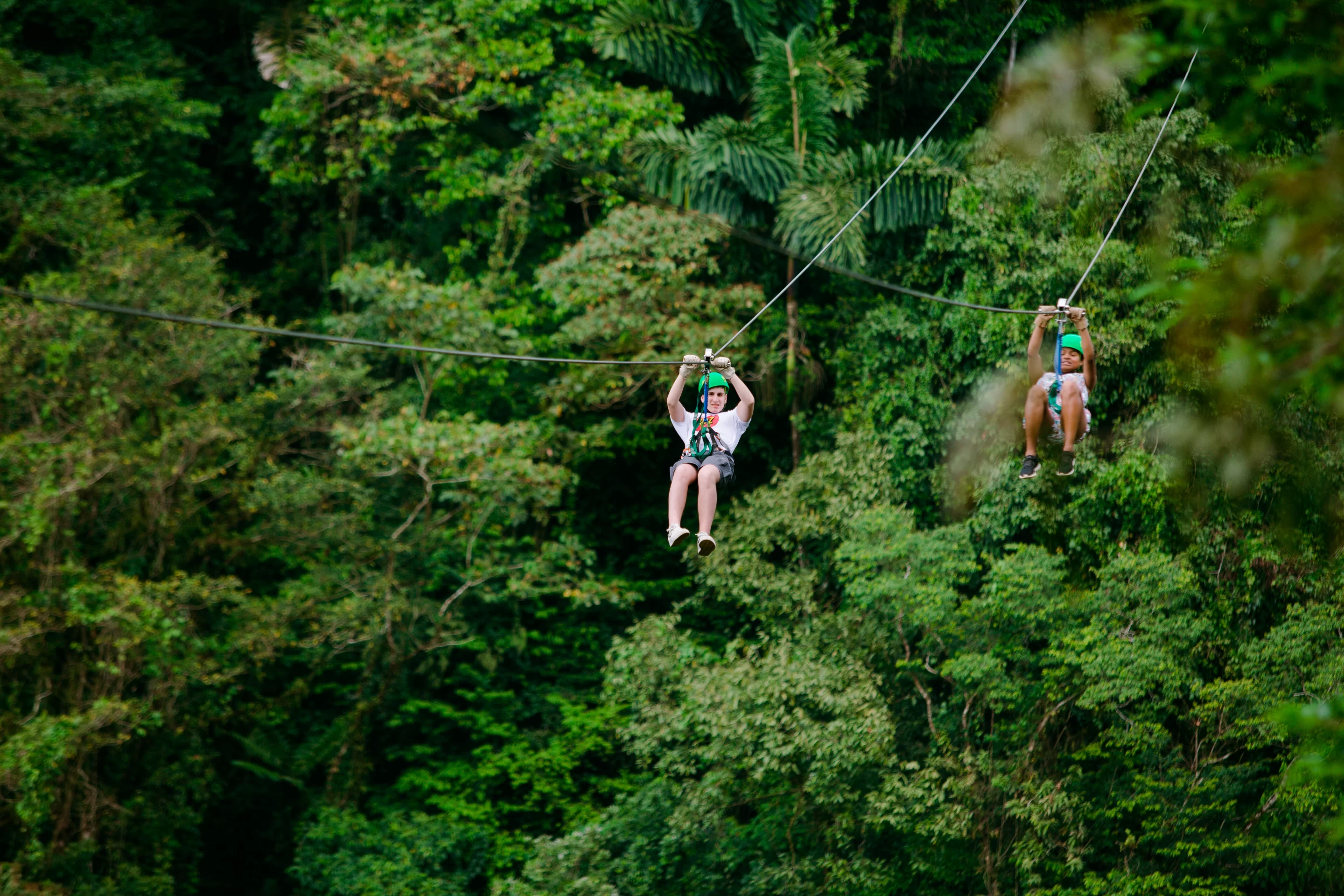 Experience the diverse wildlife and lush vegetation by ziplining through the rainforest canopy.