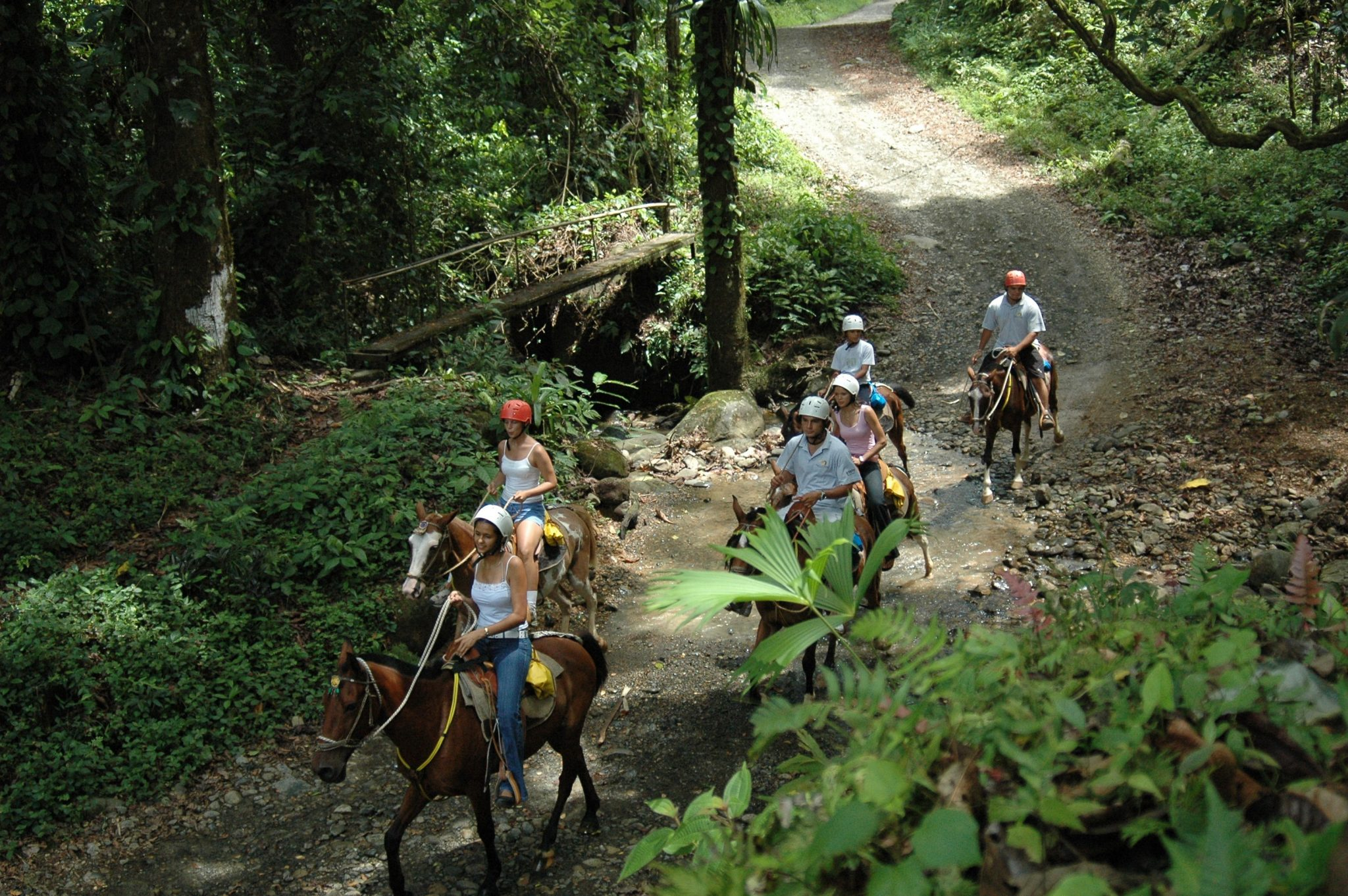 Take a morning tour for a refreshing and early exploration of Manuel Antonio's attractions!