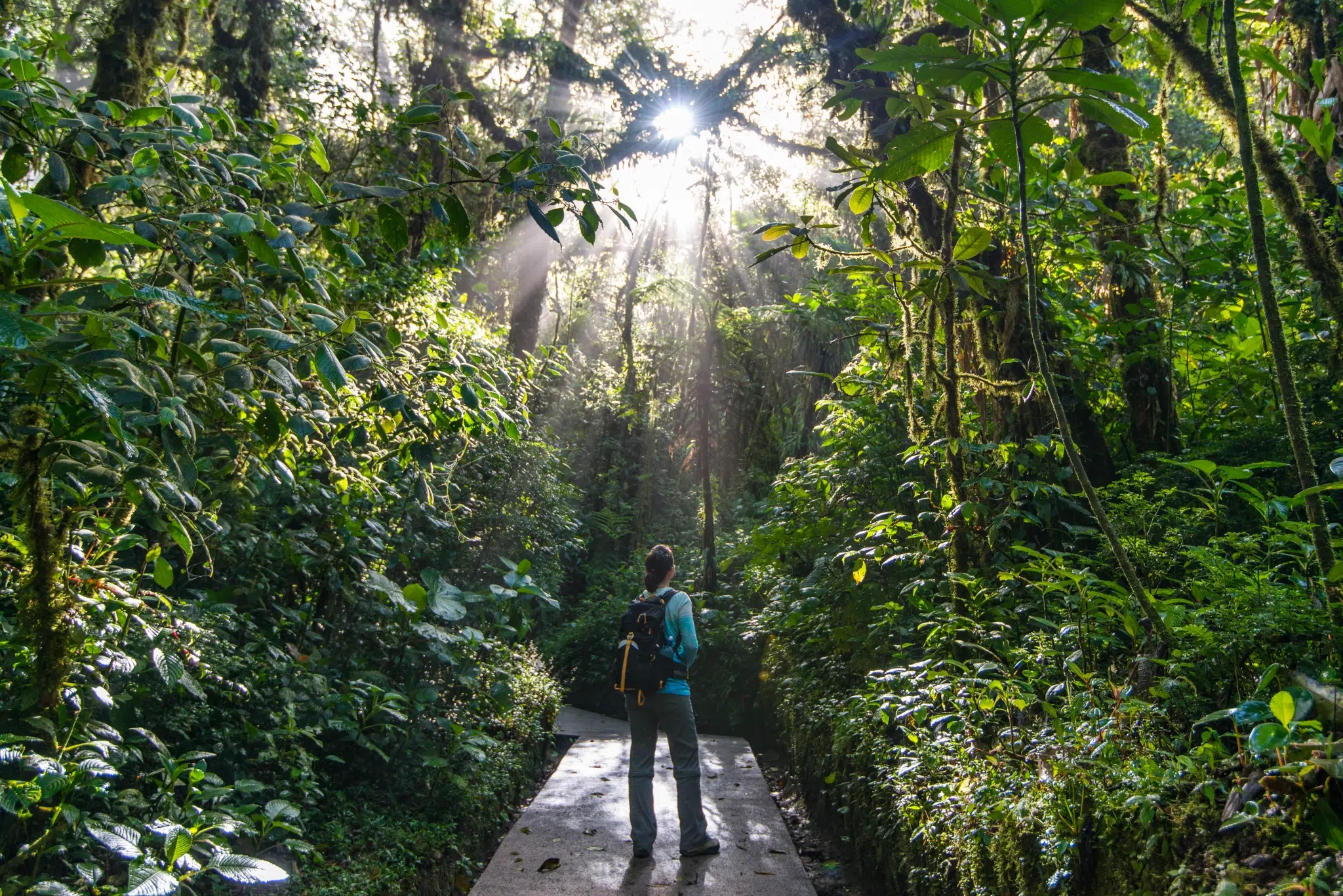 Visiting Monteverde any time soon? Get to know more about the Quaker community first!