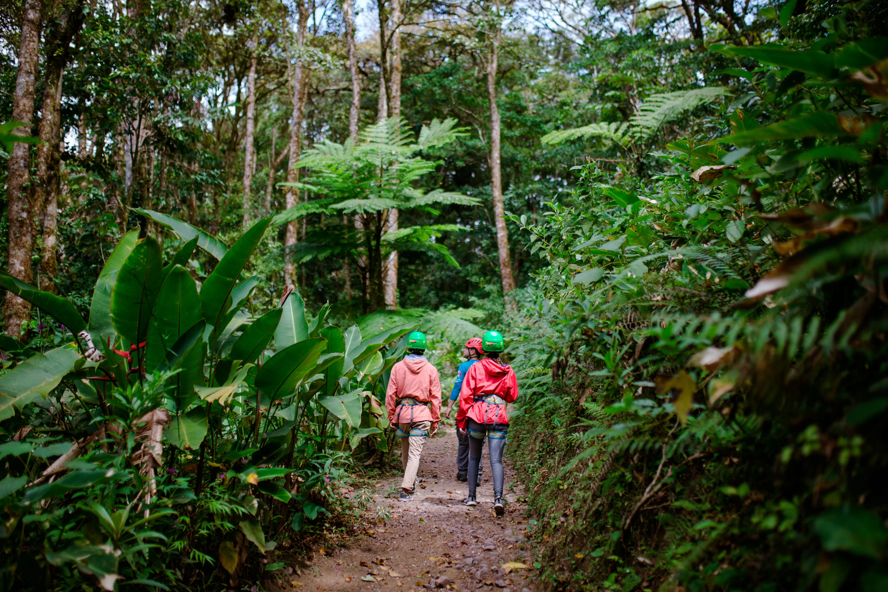 The Monteverde Cloud Forest Biological Reserve plays a significant role in preserving Costa Rica's natural beauty.