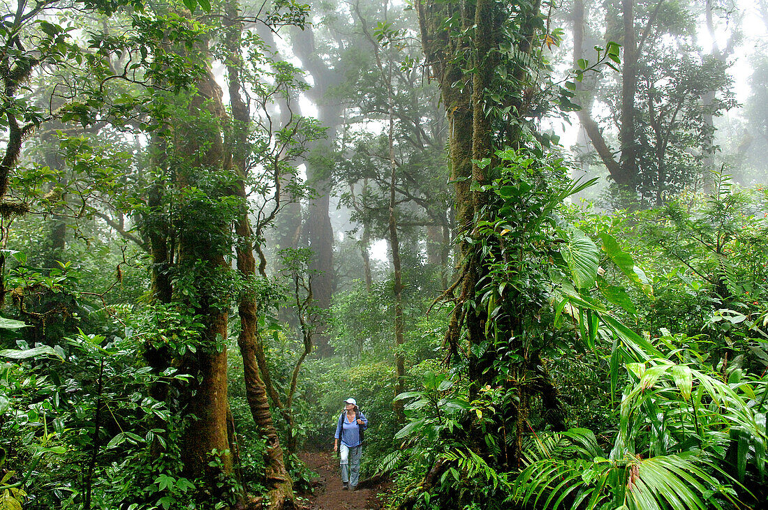 The Costa Rican wilderness is a hub for sustainable eco-tourism.