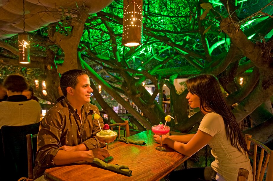 Unwind and socialize under the natural canopy of a 50-year-old tree at the TreeHouse Restaurant.