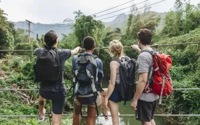 Discover the Charm of Monteverde and Santa Elena Cloud Forest Reserves