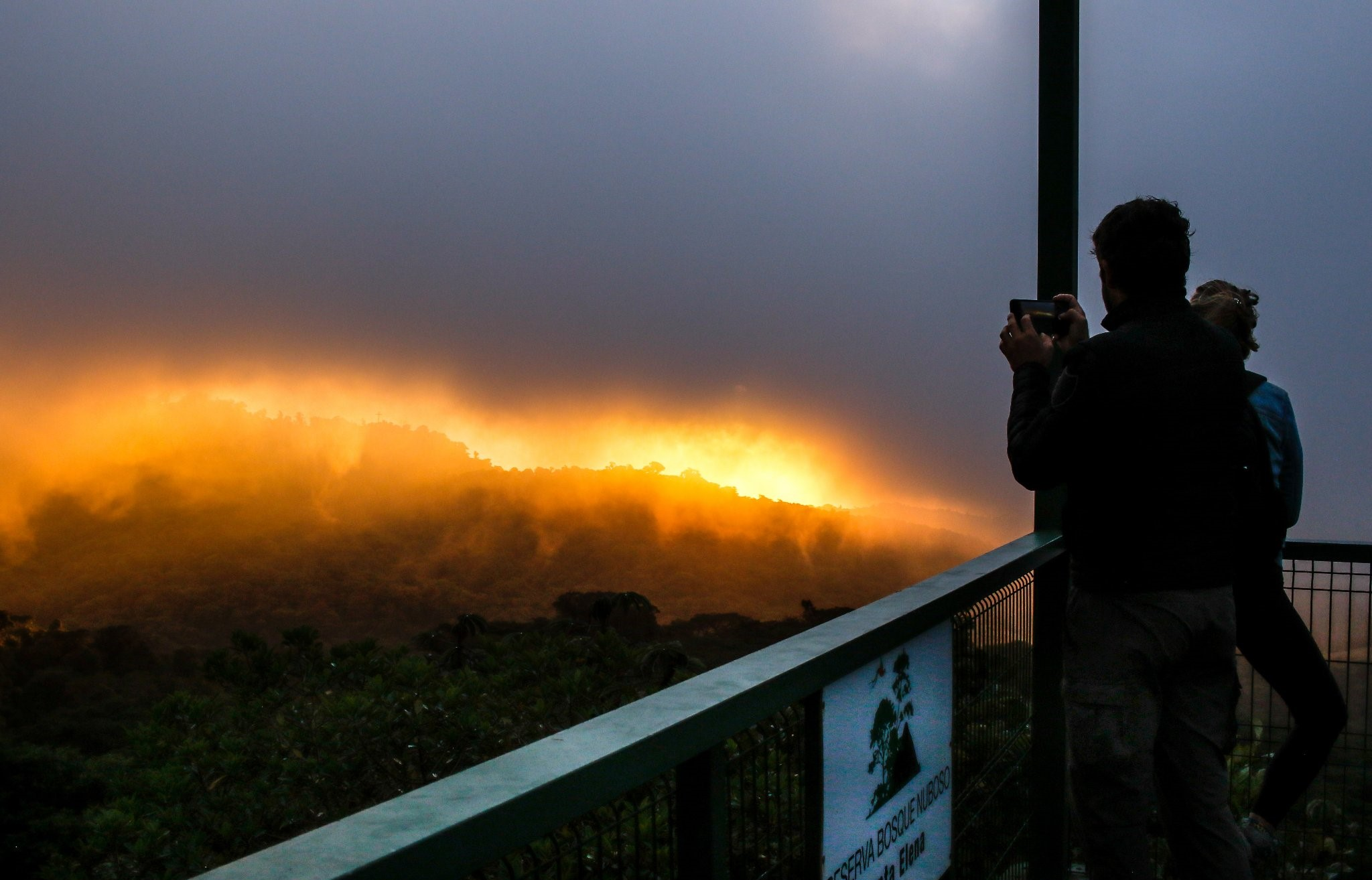 Monteverde's local community benefits from ecotourism activities.