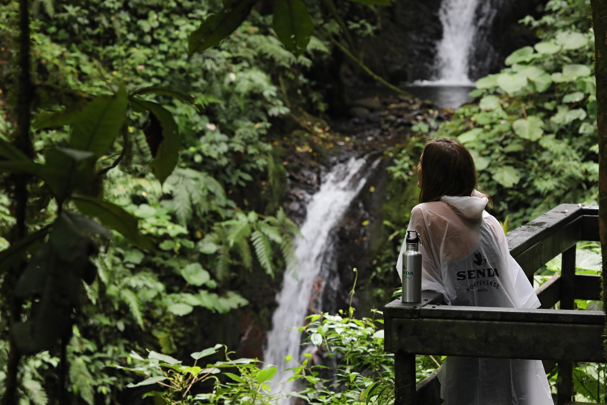 Monteverde is the perfect backdrop for your travel adventure!