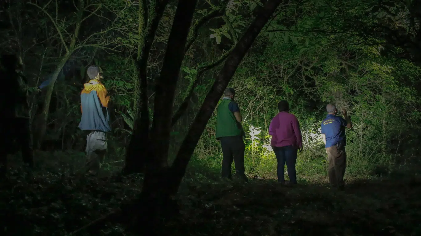 Get a comprehensive exploration of the Monteverde Cloud Forest with a guided tour!